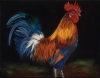 Ma Pearl's Rooster